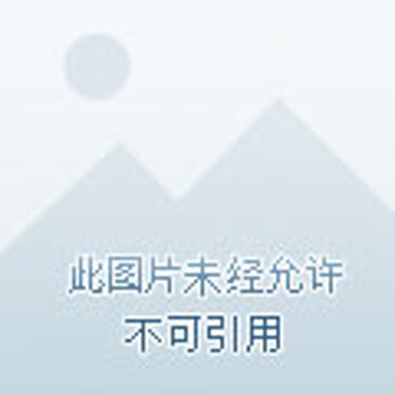 人寿保险的多样选择：为您的未来撑起保护伞